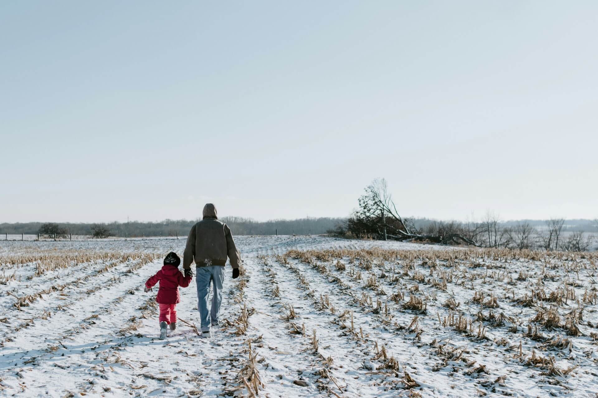 Preparing your farm for winter with roller shutters